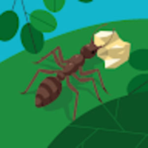 Meet your Posher, Leonardo